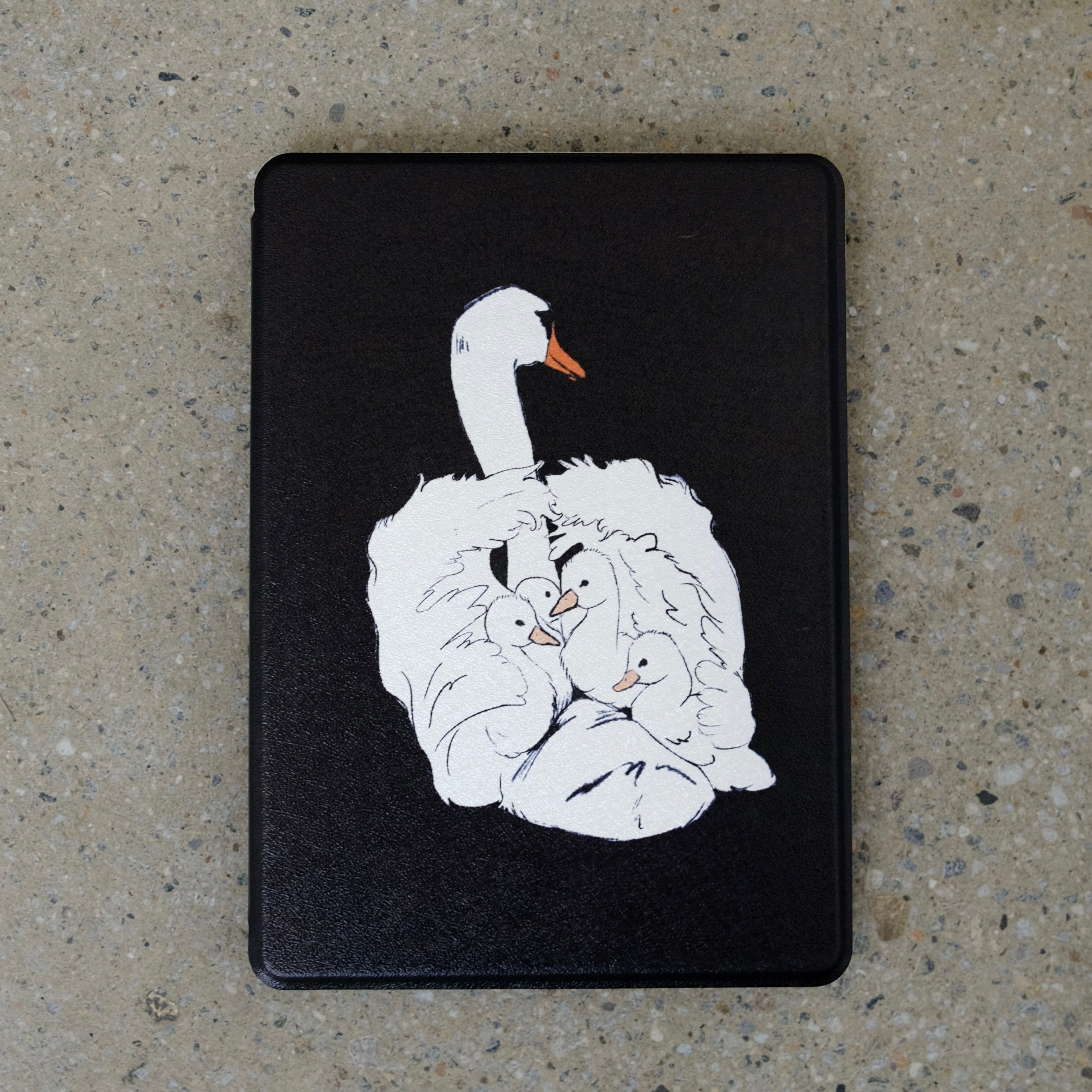 Julian Kindle Case
